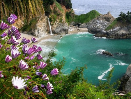 california-dreaminjpg.jpg