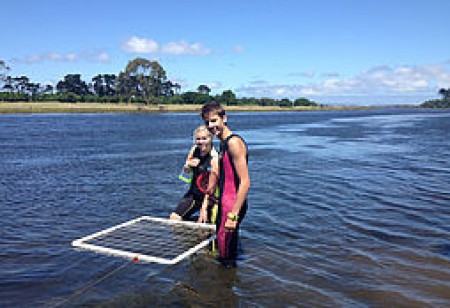 csm-ocean-conservation-16-3cf759a555.jpg