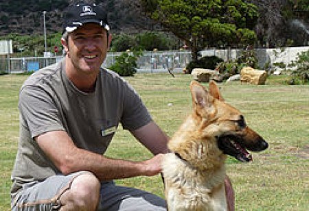 csm-domestic-animal-rescue-3-01-8e4e48f892.jpg