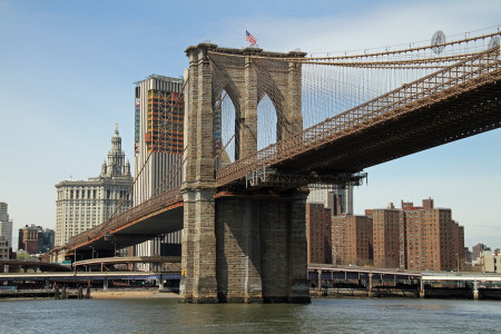 eo-young-adult-brooklyn.jpg