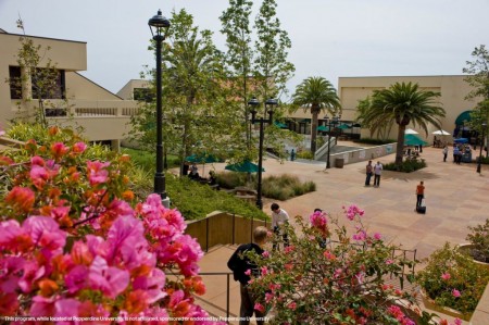 pepperdine3jpg.jpg