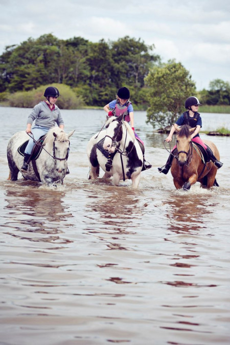 mlc-pony-camp-2.jpeg