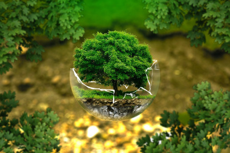 environmental-protection-326923-1920.jpg