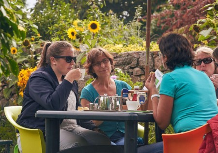 cream-tea-jersey.jpg