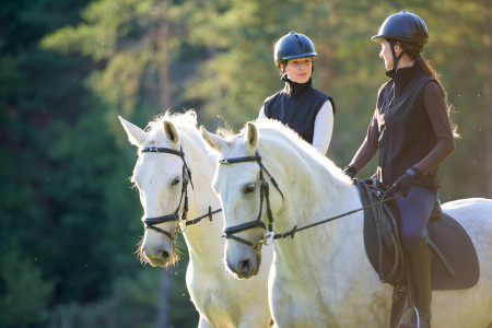 immersion-ire-horseriding2.jpeg